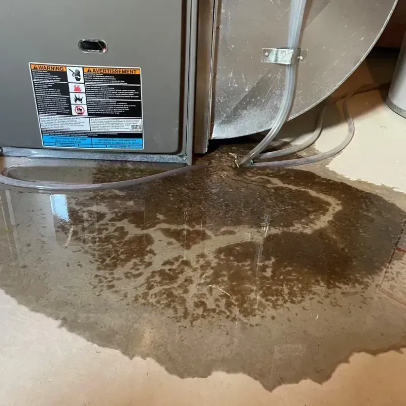 Appliance Leak Cleanup in Farmville, VA